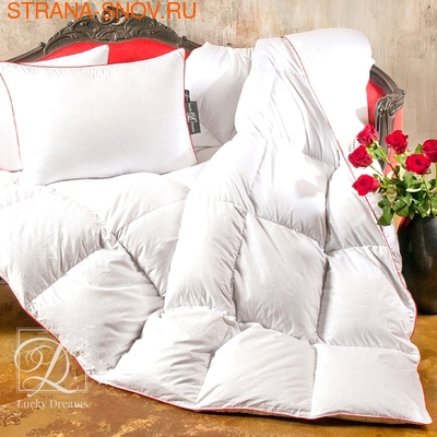     Desire Lucky Dreams  1,5, 2,  (,  2)