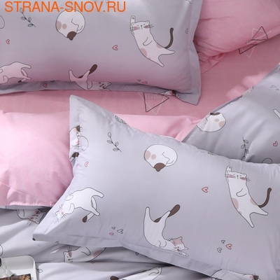 DF03-398    Tango Dream Fly  (,  1)