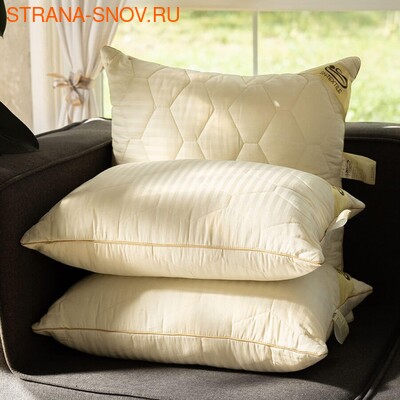     SN-Textile 5070 (,  2)