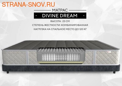     Divine Dream Velson (,  3)