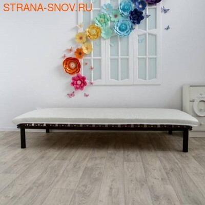      Velson Stretto-6 (,  1)