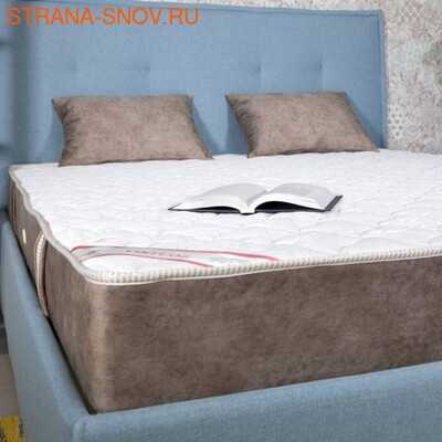      Color Premium Sharmel (,  2)