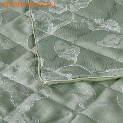 BG2426-02   Tango Florence 240260 (,  1)