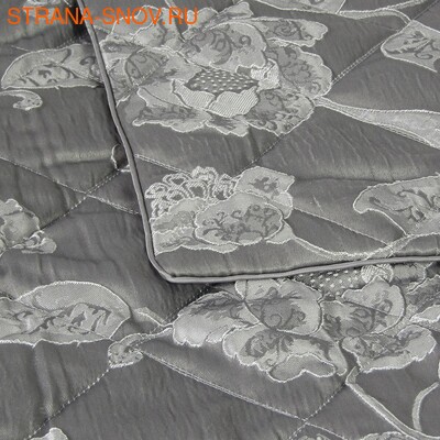 BG2426-03   Tango Florence 240260 (,  1)