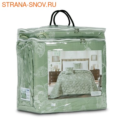 BG2426-03   Tango Florence 240260 (,  2)