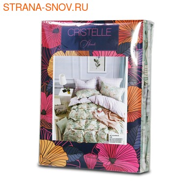 AM04-97 Cristelle Amante      (,  1)