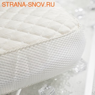     Snow Pure 58389 (,  1)