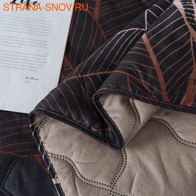 SI1622-40   Tango Siesta 160x220 (,  1)