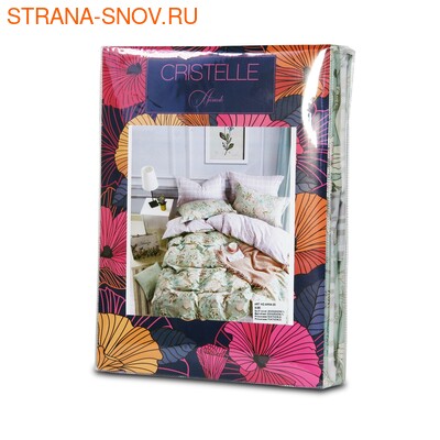 AM04-136 Cristelle Amante      (,  1)