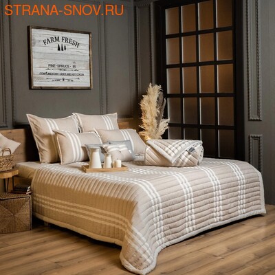   Oxygen SN-Textile  172205 (,  6)