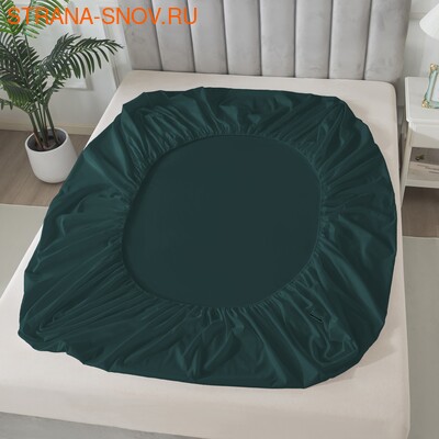 BS1620-422     Tango SOHO 160x20030 (,  1)