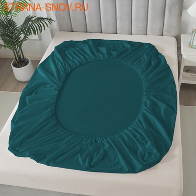 BS1620-281     Tango SOHO 160x20030 (,  1)