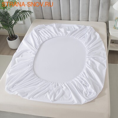 BS1620-100     Tango SOHO 160x20030 (,  1)