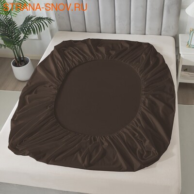 BS1620-49     Tango SOHO 160x20030 (,  1)