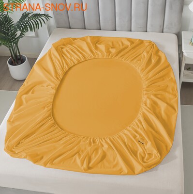 BS1620-23     Tango SOHO 160x20030 (,  1)