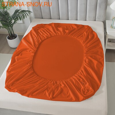 BS1620-61     Tango SOHO 160x20030 (,  1)