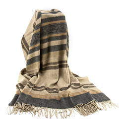 PP-56 Incalpaca     150200.  2