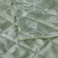 BG2426-02   Tango Florence 240260.  2