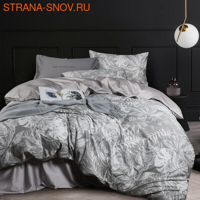 TIS07-821 Tango     -  ()
