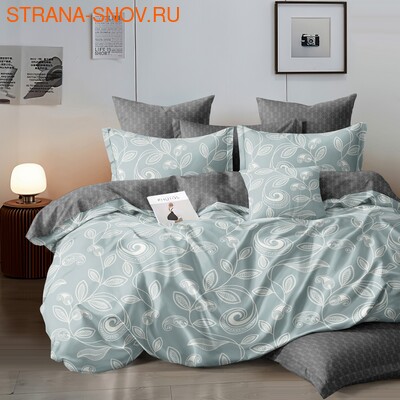 DF01-445    Dream Fly 1,5- ()
