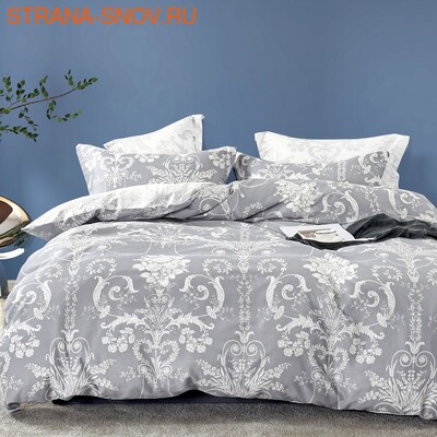 BS2426-19    SOHO collection 240260