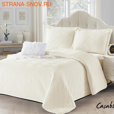 CAS2426-23   Tango Casablanca 230250 ()