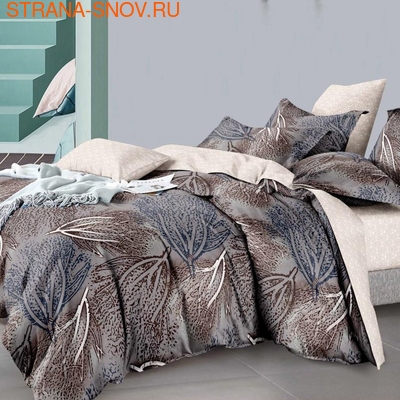 DF01-417    Tango Dream Fly 1,5- ()
