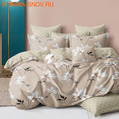 DF01-525    Tango Dream Fly 1,5- ()