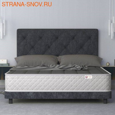     Black Dream Velson ()