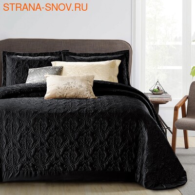 QV2426-21   Cristelle Queen Victoria 240x260
