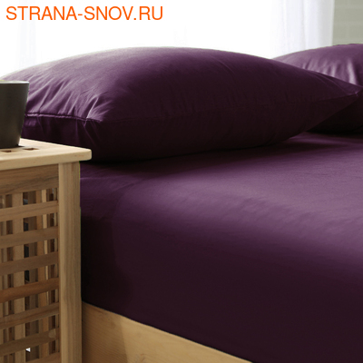 BS2426-253     SOHO collection 240260  ()