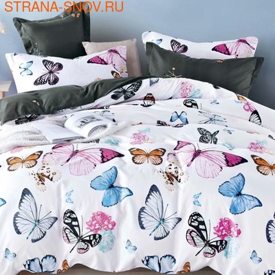 DF02-334    Tango Dream Fly 2