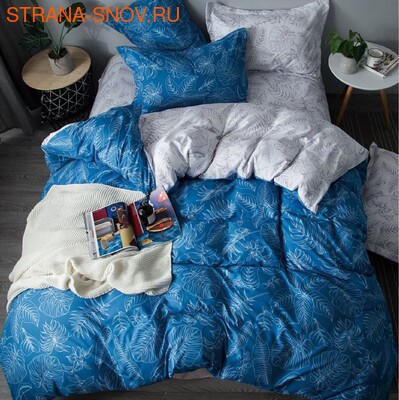 DF01-310    Tango Dream Fly 1,5- ()