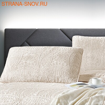 CAS5070-52    Tango Casablanca 5070