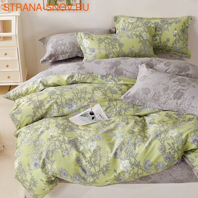 ARA2426-05   Tango Arabesque 240260 ()