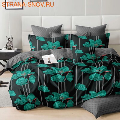 DF03-522    Tango Dream Fly  ()