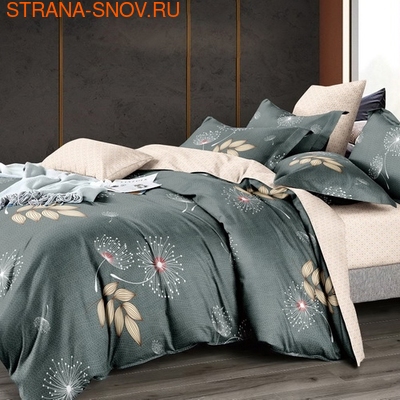 DF01-406    Tango Dream Fly 1,5- ()