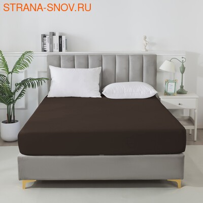 BS1620-49     Tango SOHO 160x20030 ()