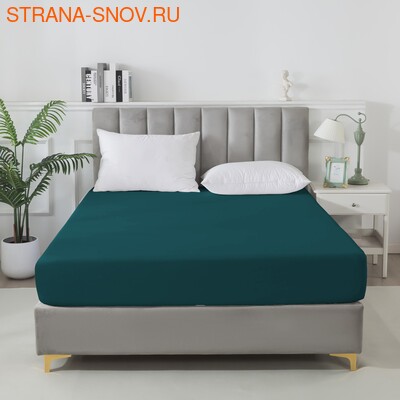 BS1620-281     Tango SOHO 160x20030 ()