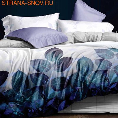 DF03-347    Tango Dream Fly  ()