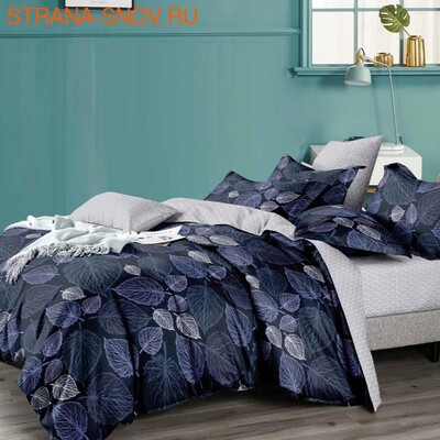TJ114-53 Cristelle Venice      ()