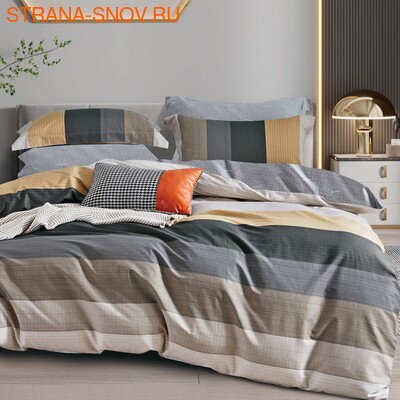 TPIG2-1700 Tango     Twill 2- ()