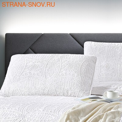 CAS5070-50    Tango Casablanca 5070