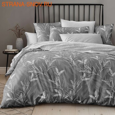 DF01-543    Tango Dream Fly 1,5- ()