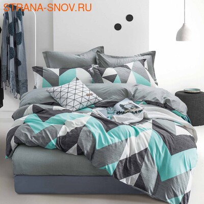 DF05-347    Tango Dream Fly  ()