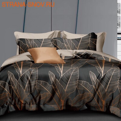 DF05-464    Tango Dream Fly  ()