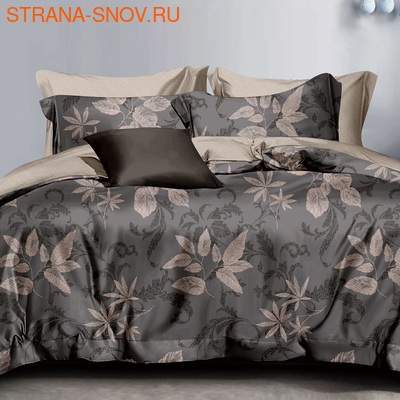 DF01-459    Tango Dream Fly 1,5- ()