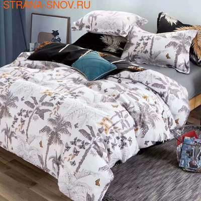 DF01-349    Tango Dream Fly 1,5- ()