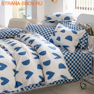 DF01-481    Tango Dream Fly 1,5- ()