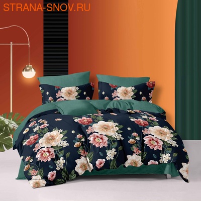 DF01-506    Tango Dream Fly 1,5- ()